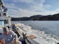 剣先イカ釣り
