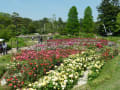 浜寺公園（２０１３年５月２４日）