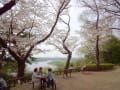 [16]多摩川台公園から多摩川を見晴らす。天気が良ければ多摩川の向こうに富士山が見える。