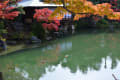 秋の一日　神戸相楽園