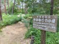 武蔵森林公園2023.8