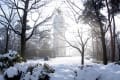 [13]2011.2.15里山の雪景色3池上本門寺広角 176.jpg