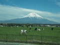 春の富士山