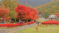 秋の旅行in山梨