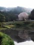 2018年4月の風景