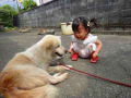 犬と幼児