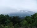 雷神様とハナミズキそして雲海