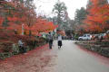 故宮神社（多賀町）の紅葉