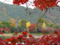 晩秋の大覚寺と大沢池