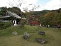 [99]京都　高台寺　開山堂と庭園