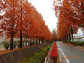 山口の散歩道