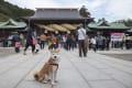 宮地嶽神社_150105