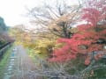 紅葉2011京都☆南禅寺＆永観堂