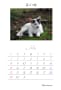 森の猫暦