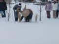 留学生が民泊