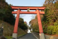 2014年初詣　篠崎八幡宮（小倉北区篠崎）