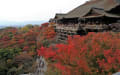 2011年秋の京都・滋賀その3