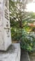 奈良県宇陀市にある室生寺へ行ってきました