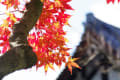 京都の紅葉　その５　黒谷から哲学の道へ