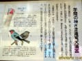 梅の名所、「滝宮天満宮」へ！