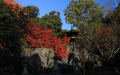 [66]2007年石山寺10.jpg