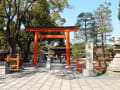 京都の城南宮にしだれ梅を見に行く