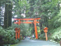 箱根神社　九頭龍神社