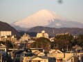 ２月１日（日）午前７時、平塚東海岸からの富士山、湘南平、箱根です