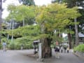 佐渡の寺院　蓮華峰寺