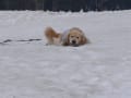 大山雪遊び