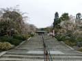 白野江植物公園