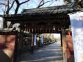 上野東照宮牡丹苑に行ってきました。