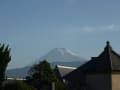 朝の散歩（富士山、シラス漁、花々）