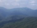 深入山8月16日