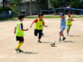 (2011年11月5日～2011年11月30日)東羽衣小学校子ども土曜遊び隊、高石市市民文化祭きずな会員写真展示コーナー