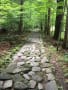 日光滝尾神社に苔を見に