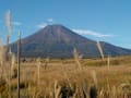 富士山きのこ散策