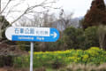 春を呼ぶ菜の花と石峯化石群