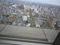 花見の一日でした～近くの遊歩道、前橋公園、学園近く。街中歩き～