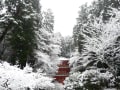 木津川の古刹雪景色