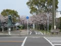 ２０２２　徐福サイクルロードの桜