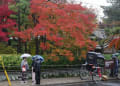 雨の「哲学の道」紅葉2012