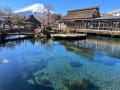 忍野八海の風景