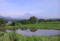 つゆの合間の富士山