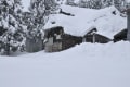 魚沼の雪景色