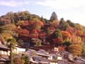 観音山の紅葉