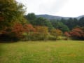 雲仙普賢岳紅葉～見頃でした2～１