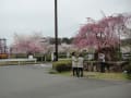 石山寺