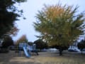曇り空・写真がピンボケあぁ・・・秋晴れがほしい～