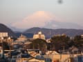 ２０１５年２月１１日（水＝祝）平塚からの富士山、湘南平、箱根
